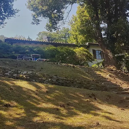 Villino Shaky Villa *