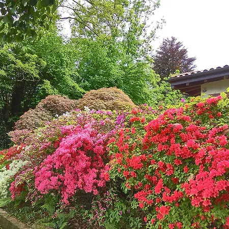 Villino Shaky 别墅