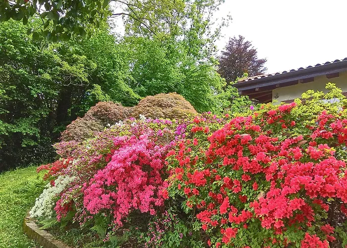 Villino Shaky 别墅